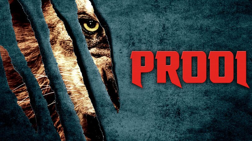Prooi Netflix