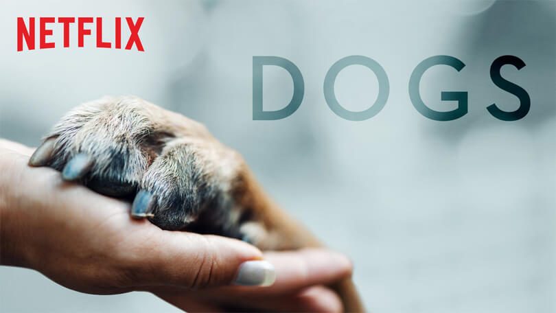 Dogs Netflix