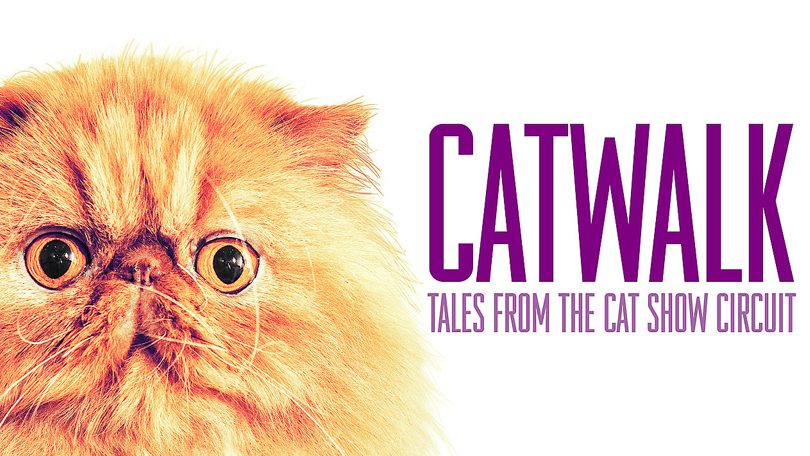Catwalk: Tales from the Cat Show Circuit Netflix