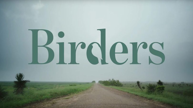 Birders Netflix