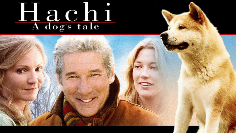 Hachi Netflix