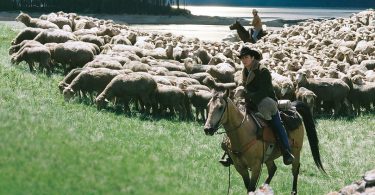 Brokeback Mountain Netflix